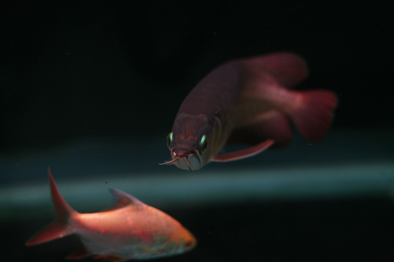 Im happy I finally registered